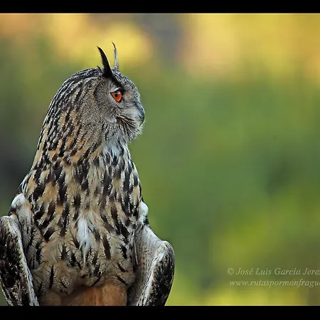 Parque Nacional De Monfraguee Campsite 3*