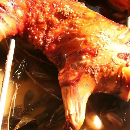 Campsite Parque Nacional De Monfraguee Malpartida De Plasencia